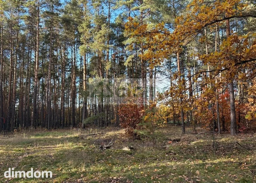 Do sprzedania działka budowlana o powierzchni 4000 m2 w Maryninie koło Grodziska Maz.