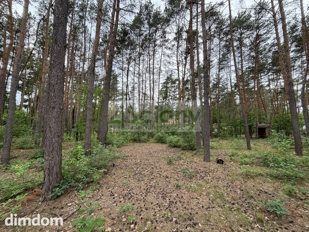 ATRAKCYJNA DZIAŁKA BUDOWLANA 1789 m² ZAŁUBICE