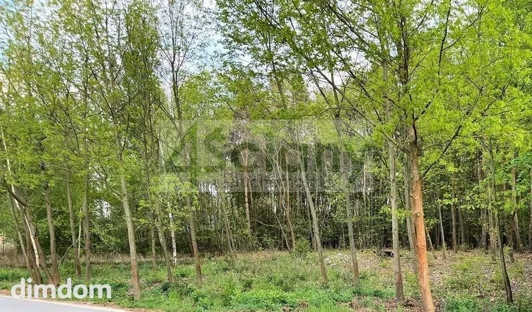Działka budowlana  z terenem leśnym w Nadarzynie