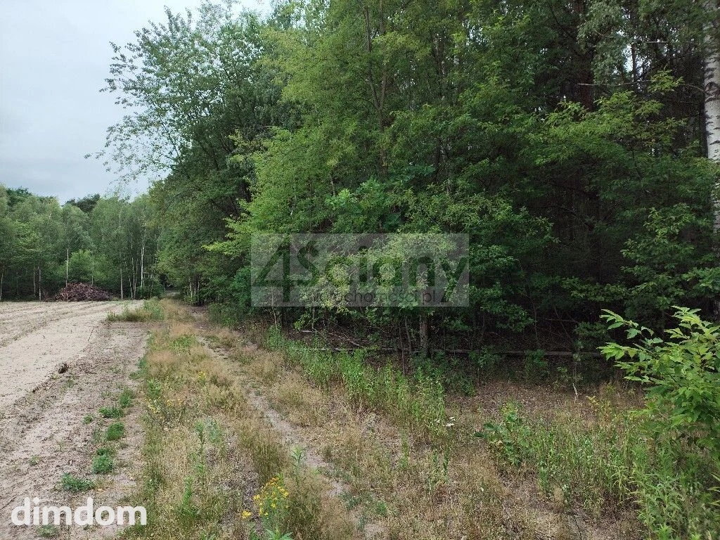 Działka lesie w Wólce, 600 metrów od puszczy - 113678212.jpg