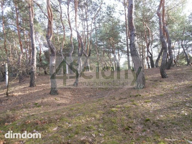 Do sprzedania zalesiona działka budowlana o powierzchni 1 705 m2, położona w najpiękniejszej części Legionowa - Bukowiec. Kształt prostokąta o wymiarach 31 m (od drogi) na 55 m. Dojazd utwardzony. Me…