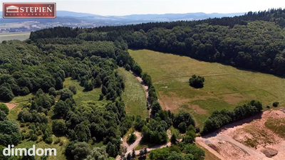 Wyjątkowa nieruchomość gruntowa o powierzchni 5,6661 ha - Przedwojów, gmina Kamienna Góra