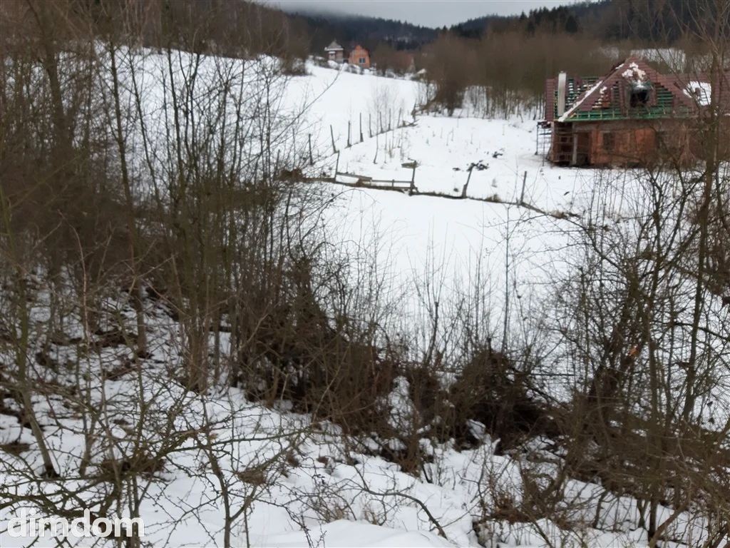 Do sprzedaży malownicza  działka położona w pobliżu Sokołowska w strefie ciszy A.Wokół nieliczna zabudowa,piękne tereny spacerowe,blisko las , kilka  km do granicy czeskiej. Działka ze skarpą, wymaga… - 3