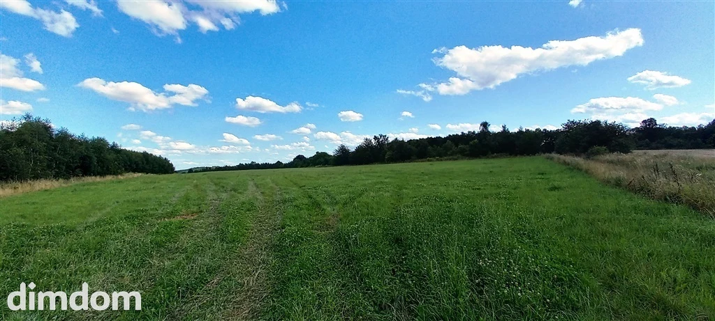 Działki w Cieszowie - 3