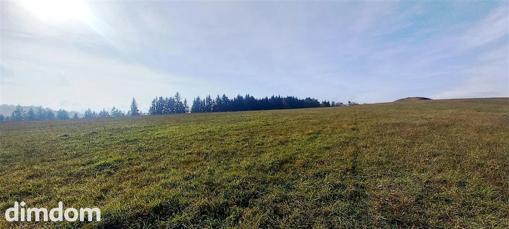 Widokowa działka - 2