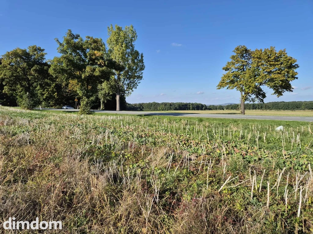 Powyżej 5 ha pod budownictwo jednorodzinne. - 2