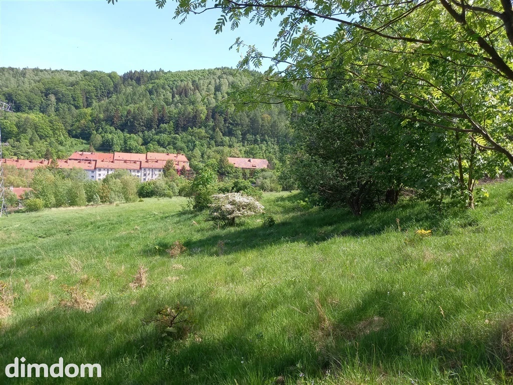 Do sprzedaży piękna malownicza działka, położona na pograniczu Rusinowej i Podgórza, z rozległym widokiem na panoramę gór i miasta, granicząca z lasem. - 2