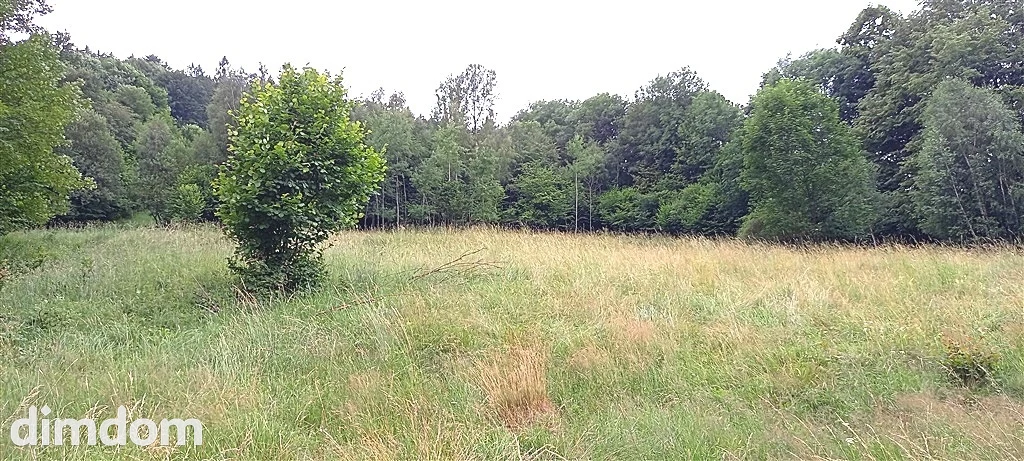 Duża Działka w walimiu - 4