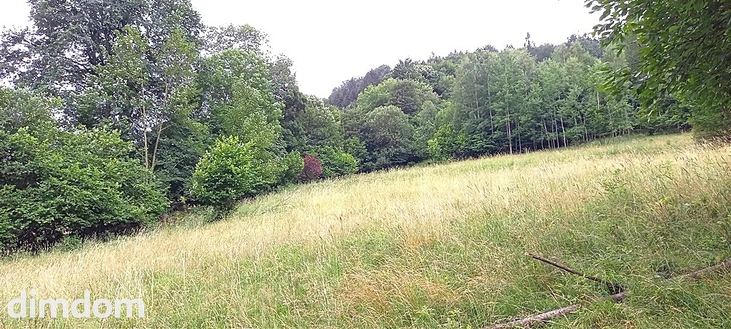 Duża Działka w walimiu - 5