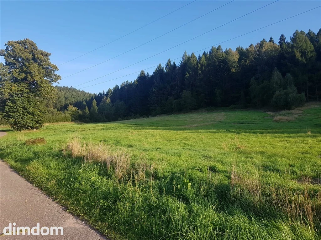 Rolno-budowlana działka w Grzędach (mpzp).