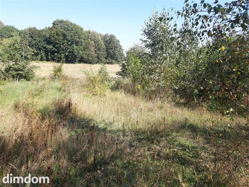 Działki w zaciszu.