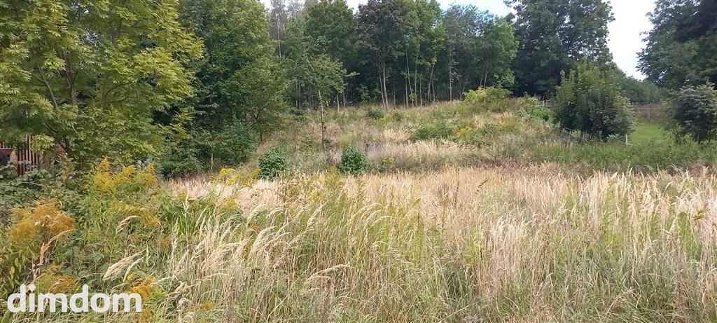 działka na sprzedaż - 2