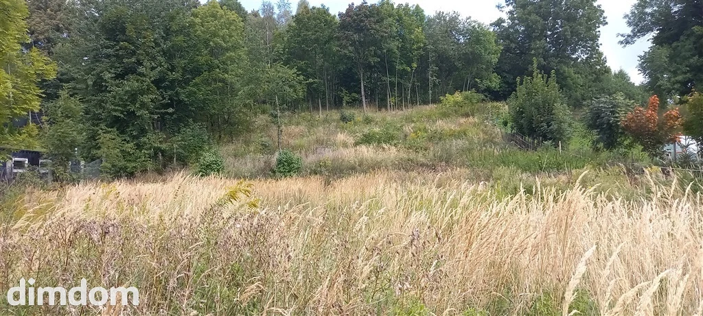 działka na sprzedaż - 4