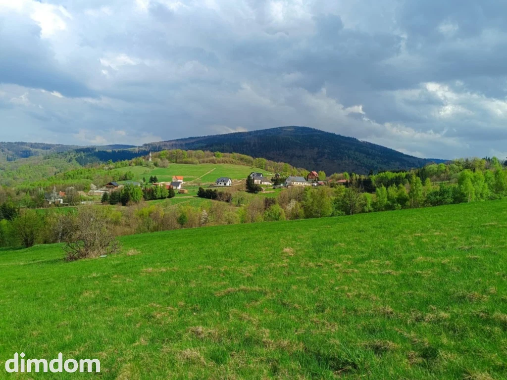 Działki pod lasem z panoramicznym  widokiem - 5