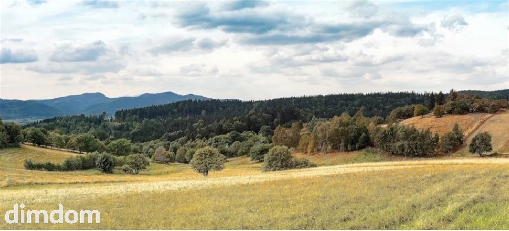 Widokowa Działka w Sierpnicy z warunkami zabudowy. - 3