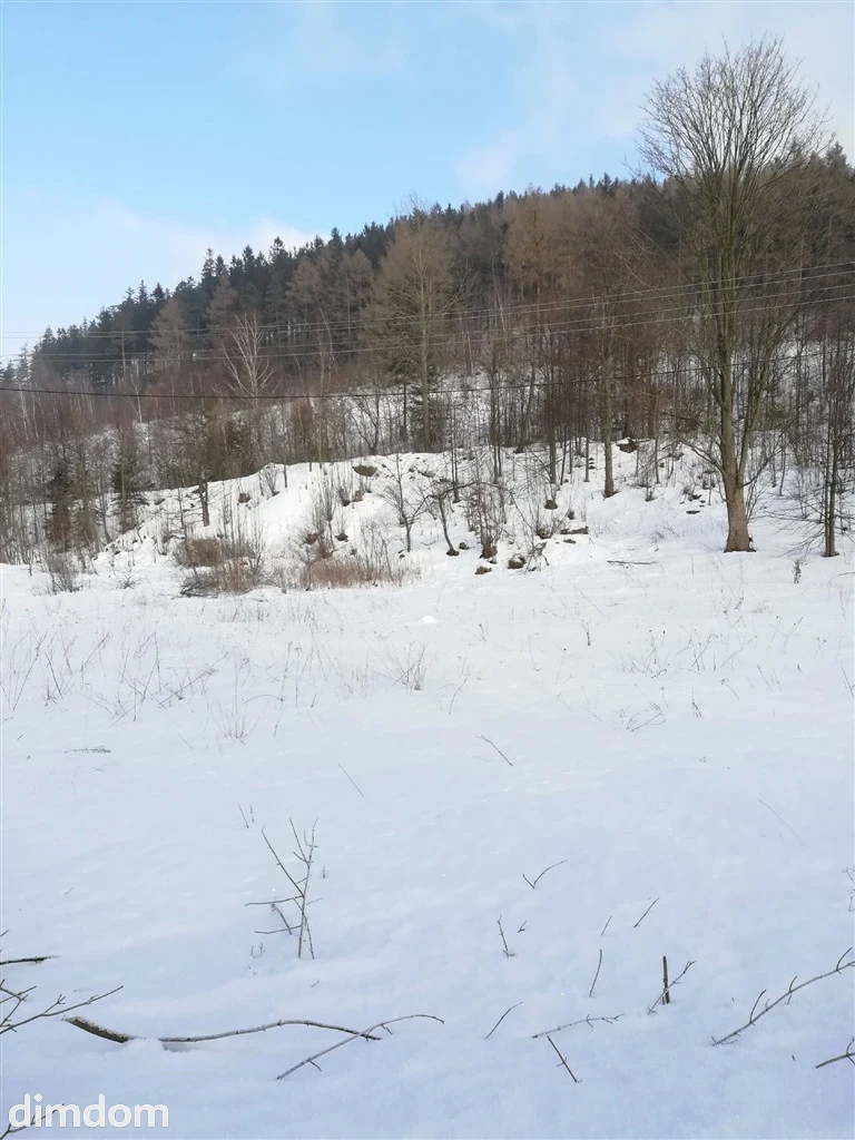 Działka na cele mieszkaniowe - Boguszów Gorce