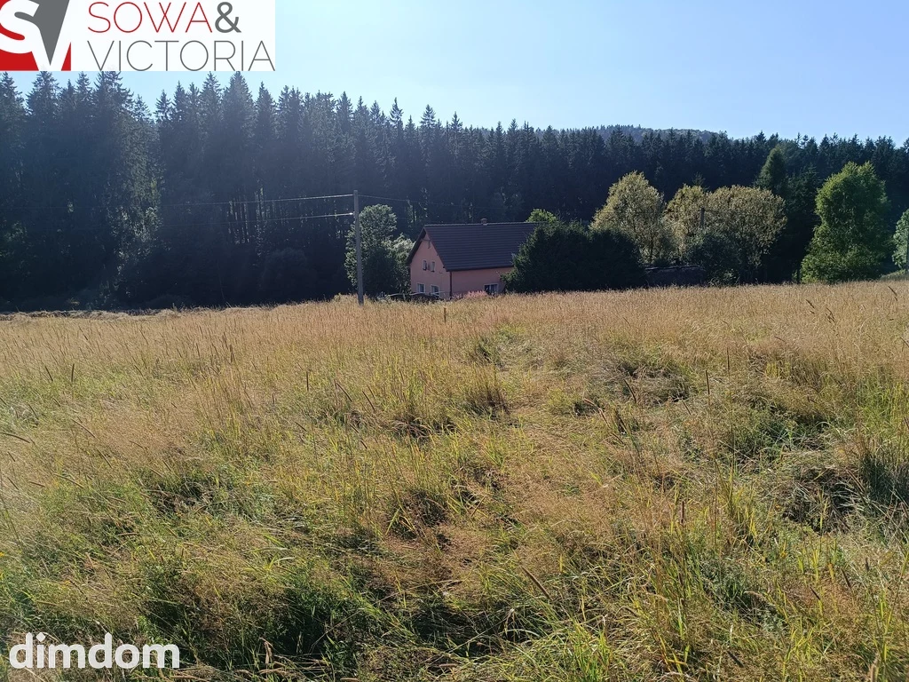 Widokowe działki w Górach Sowich - 2