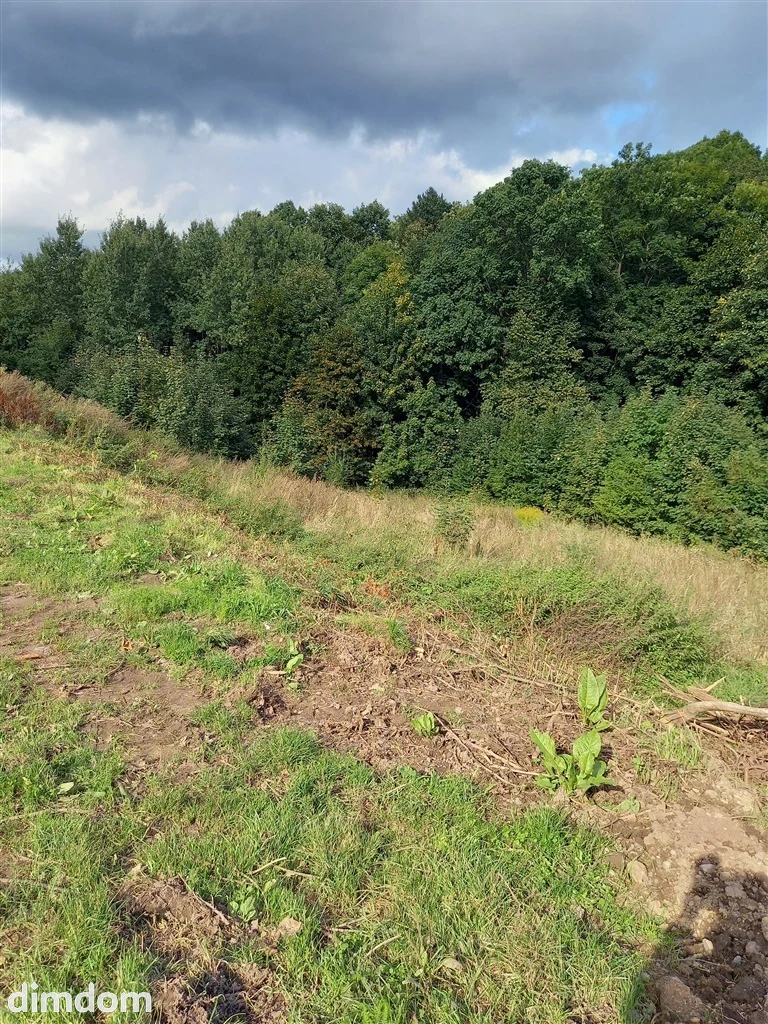 Do sprzedania działka budowlana położona w urokliwym, spokojnym zakątku Wałbrzycha, wśród gór, lasu  i nielicznej, niskiej zabudowy. - 3