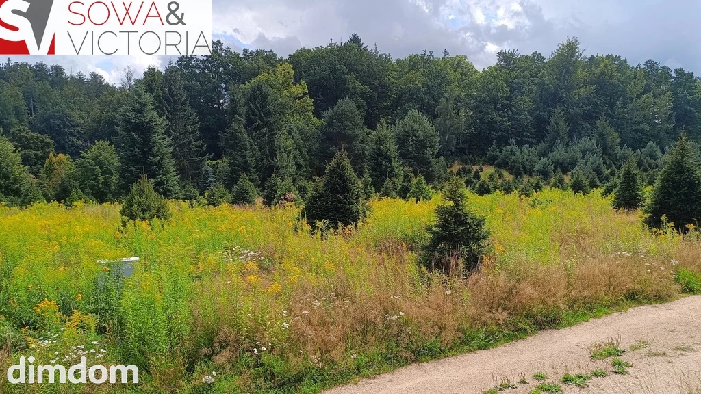 Piękna działka budowlana w Karkonoszach - 4