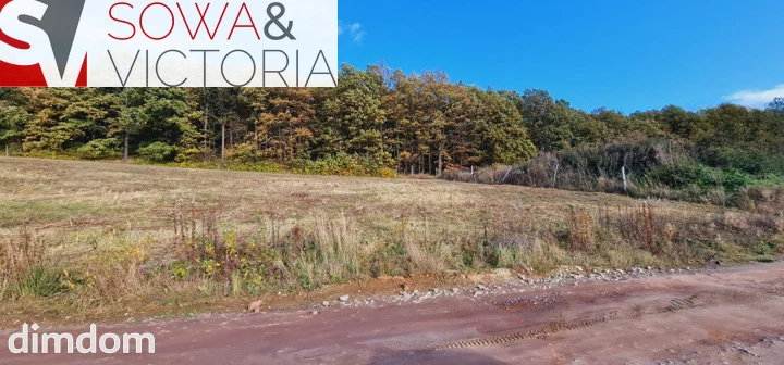 Widokowe działki w Cieszowie, gm.Stare Bogaczowice
