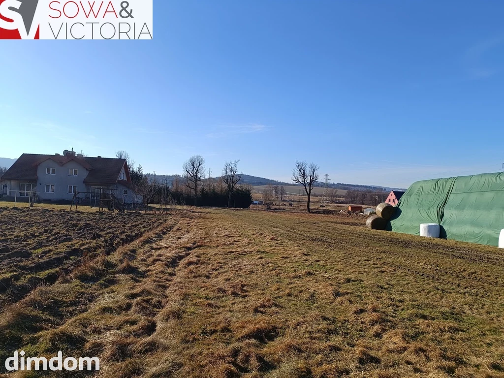 Słoneczna działka w pobliżu Krzeszowa - 2