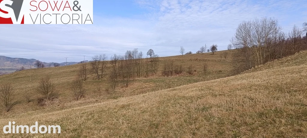 Słoneczna, widokowa działka budowlana w Głuszycy - 4