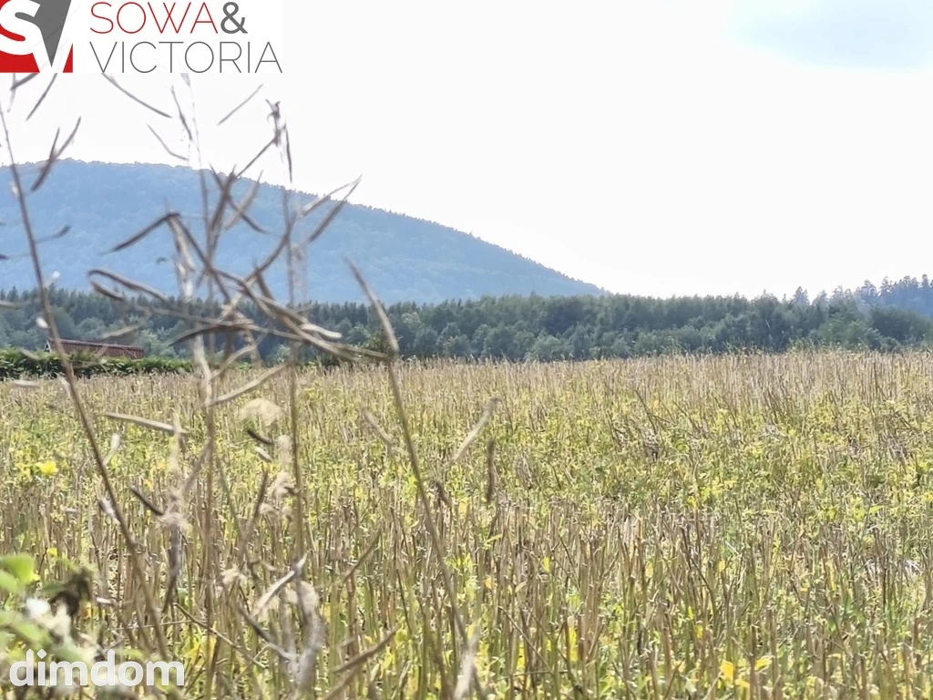 Ostatnia działka, koniec drogi, Warunki Zabudowy