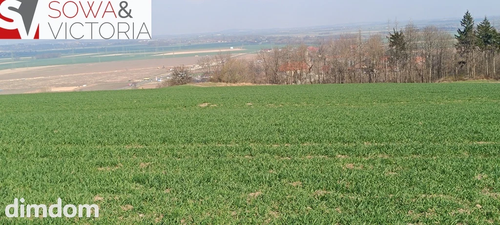 Piękna, otoczona lasem działka w Dobromierzu - 2