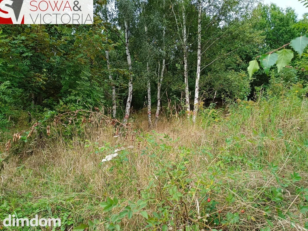 Działki w pobliżu Szczawna Zdroju - 3