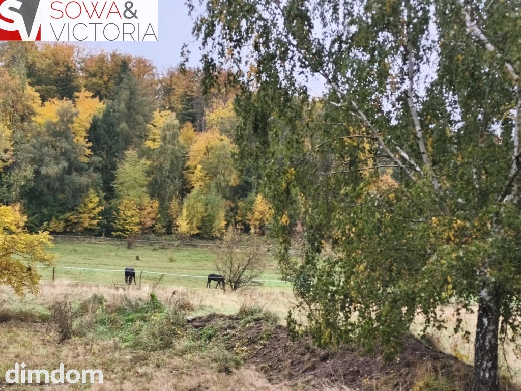 Działka przy lesie w sąsiedztwie zalewu - 4