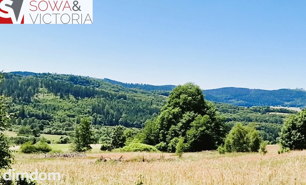Natura Przestrzeń Spokój i Góry Sowie
