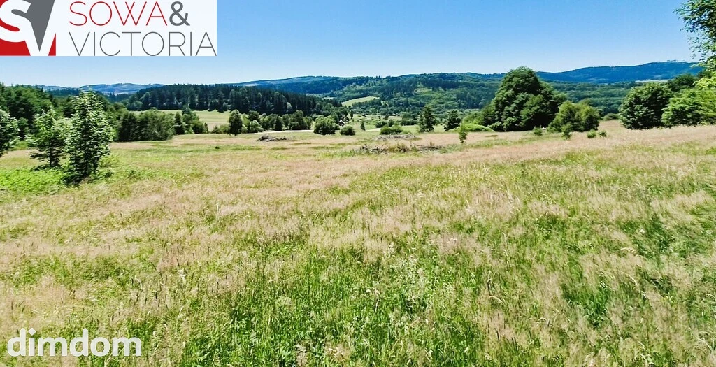Natura Przestrzeń Spokój i Góry Sowie - 3