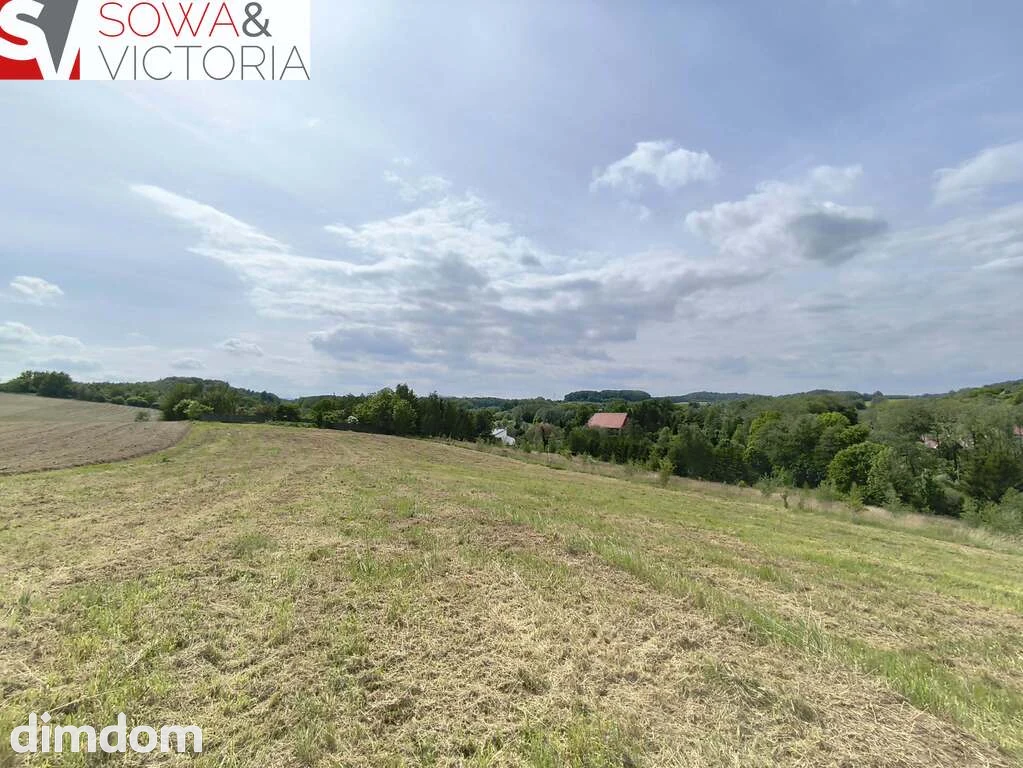 Skrajna działka pod lasem - 3