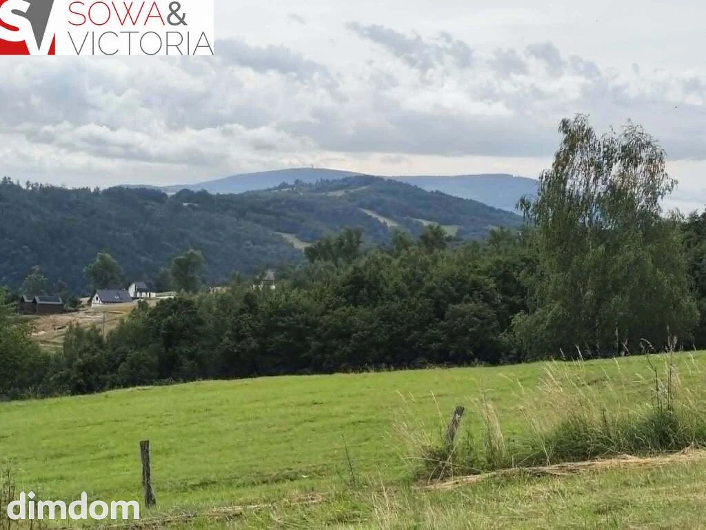 Panoramiczny widok na szczyty gór,  ok 1 km od PKP