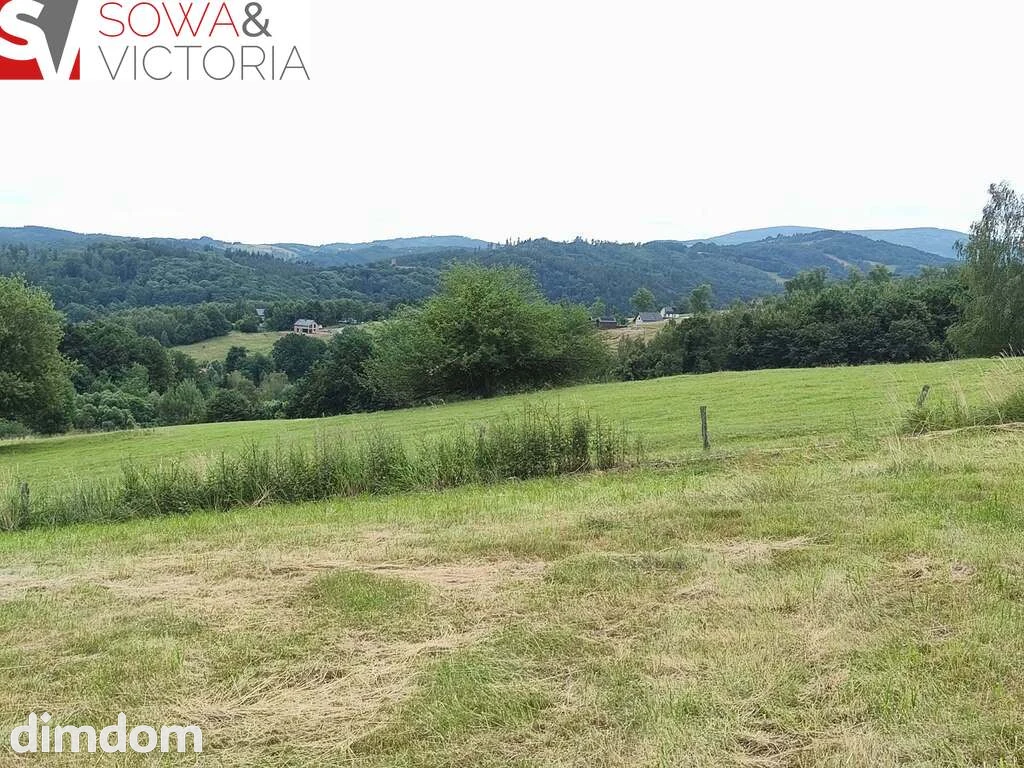 Panoramiczny widok na szczyty gór,  ok 1 km od PKP - 3
