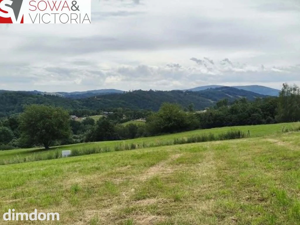 Panoramiczny widok na szczyty gór,  ok 1 km od PKP - 4