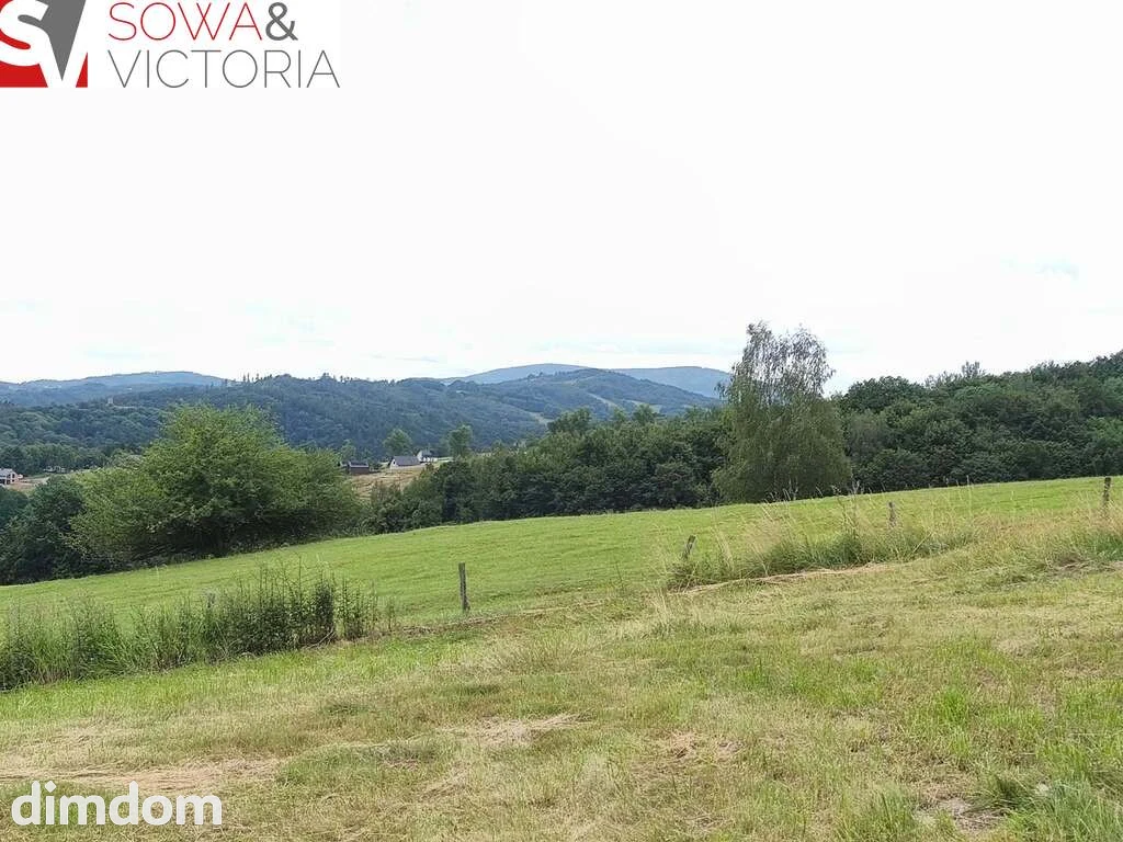 Panoramiczny widok na szczyty gór,  ok 1 km od PKP - 5