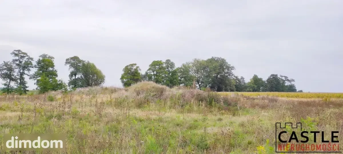 Działki pod budowę hali z biurem - inwestycja! - 2