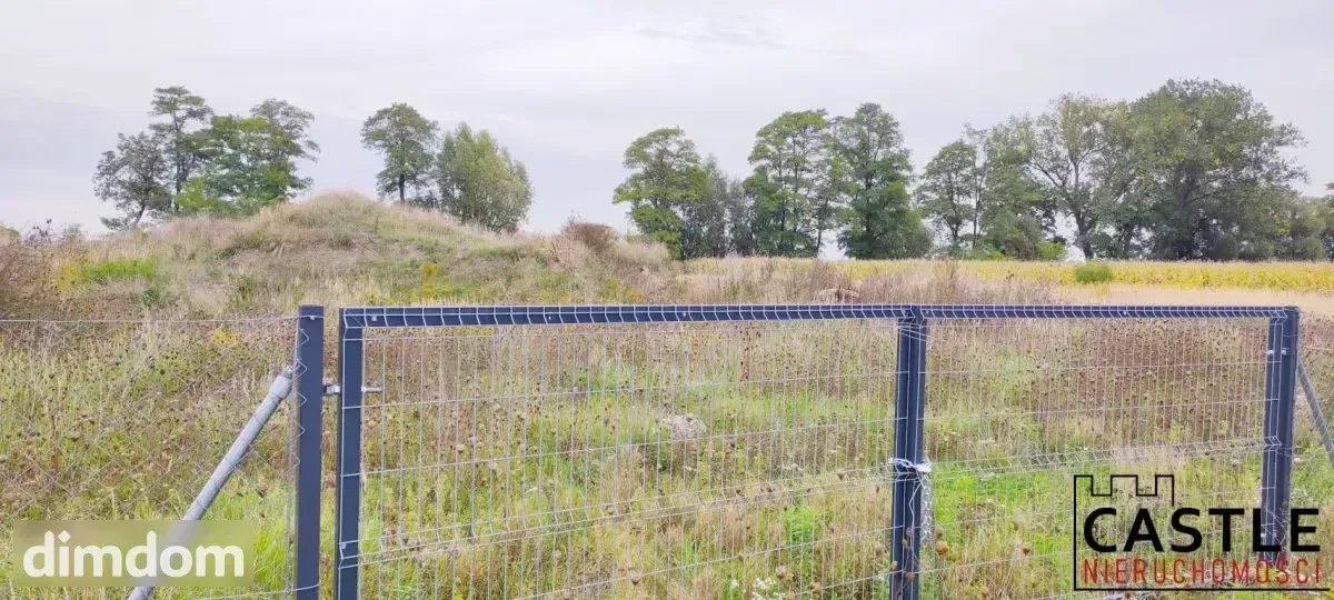 Działki pod budowę hali z biurem - inwestycja! - 5