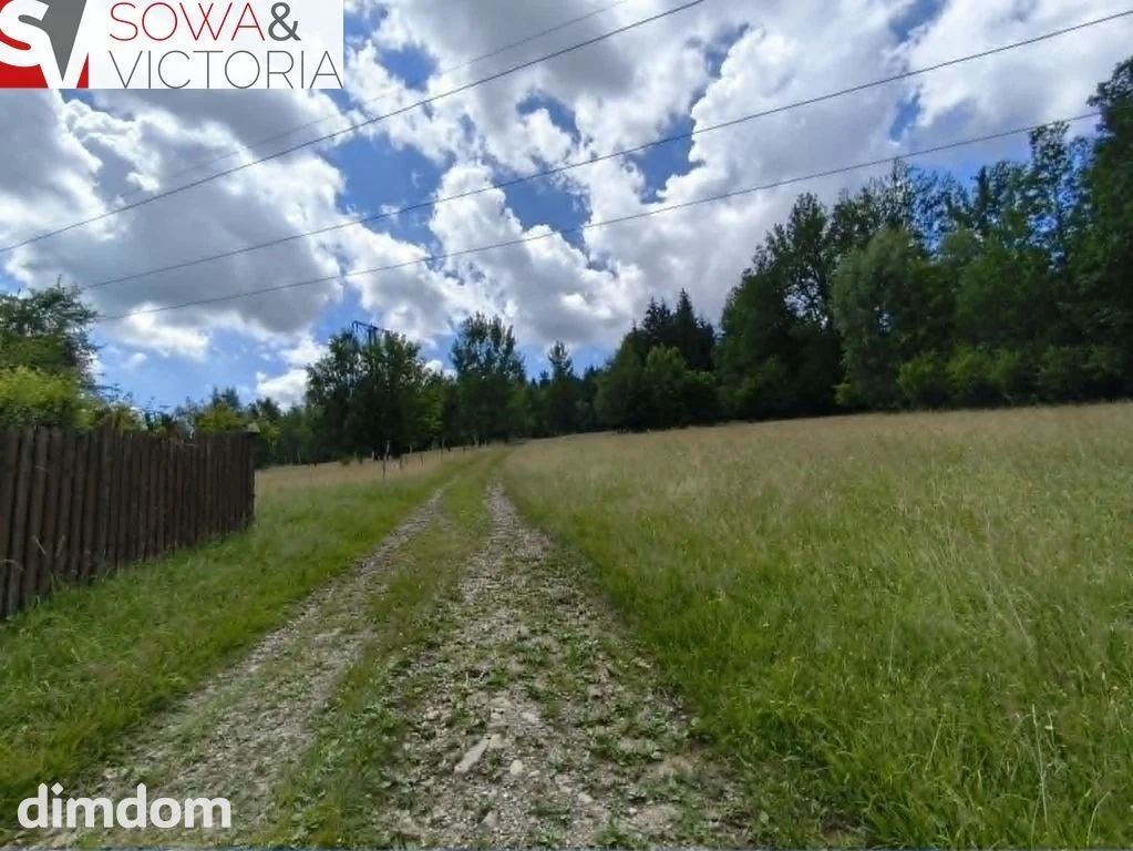Kameralna działka otoczona drzewami, pod lasem - 4