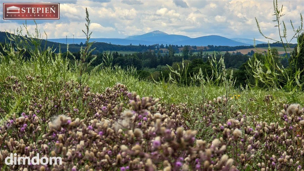 Działka z widokiem na Karkonosze!