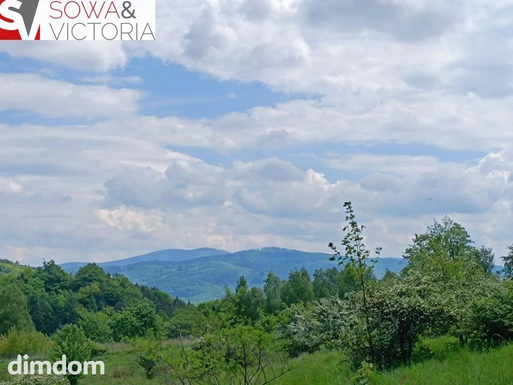 Widok na góry ,  piękny drzewostan. Przy lesie ! - 105868321.jpg
