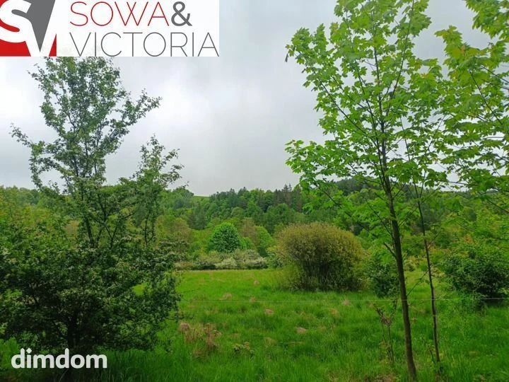 Widok na góry ,  piękny drzewostan. Przy lesie ! - 5