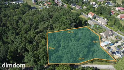 Myślisz, że 60 zł/m2 za las to oszustwo? - 5