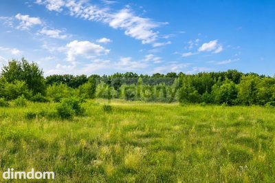 Działki inwestycyjne w Runowie o pow. 3,7271 ha