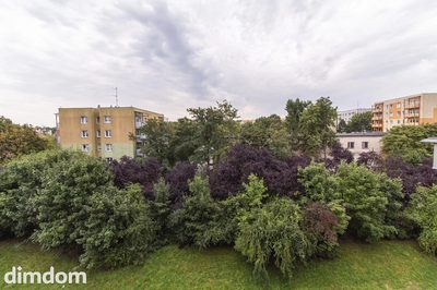 To nie jest zwykły lokal w Zielonej Górze - 3