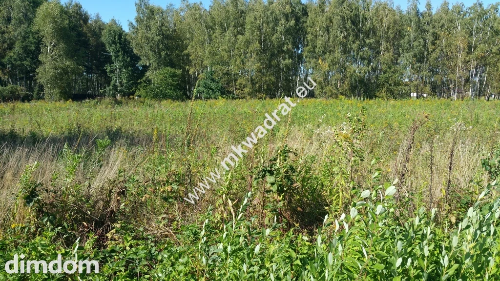 Działka rolno - budowlana