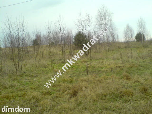 Działka rolna o powierzchni 18.500 m2 położona w miejscowości Łajszczew Stary, gmina Puszcza… - 18475020.jpg