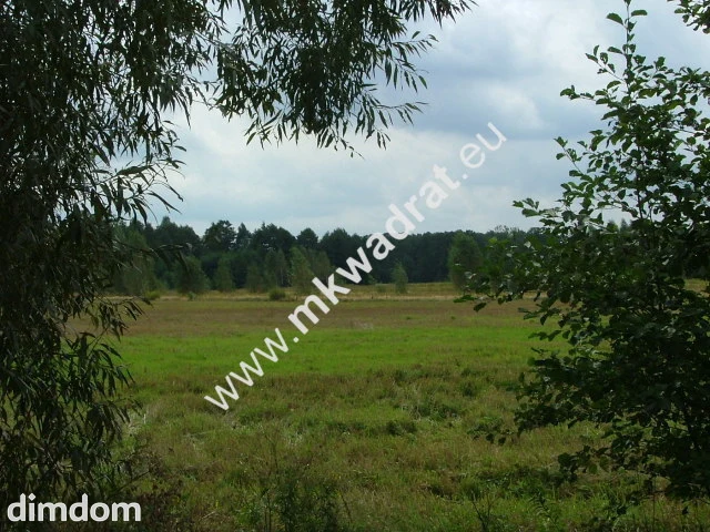Piękna działka!na terenie niewielki staw. Do jeziora ok 500m. W okolicy 3 stadniny koni.Dojazd z… - 18480987.jpg