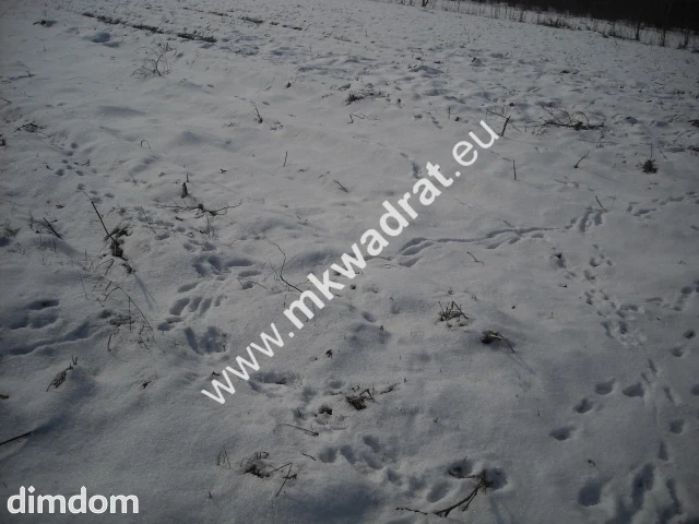 Działka inwestycyjna w miejscowości Płochocin o pow. 3000 m2. Działka do połączenia z innymi… - 18495688.jpg